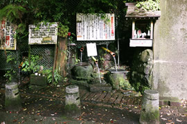 バーベキュー会場:轟の滝(水汲み場)